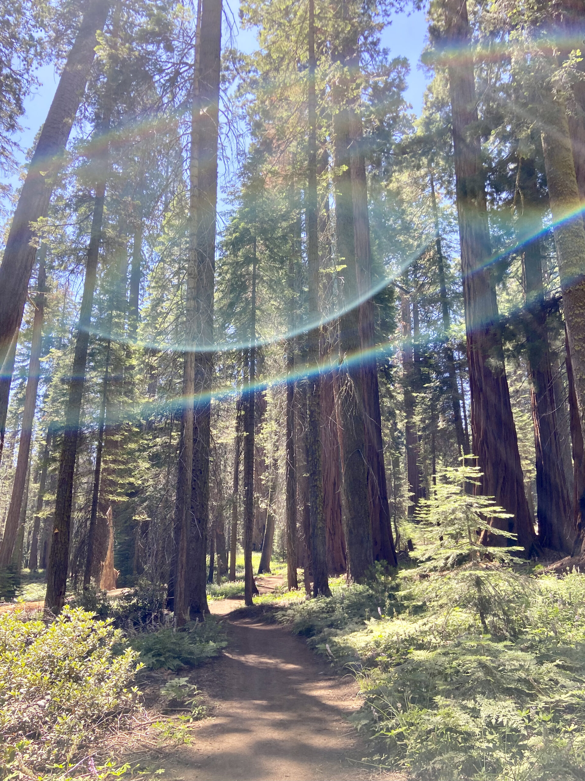 Embracing New Beginnings: My Blog Launch Story